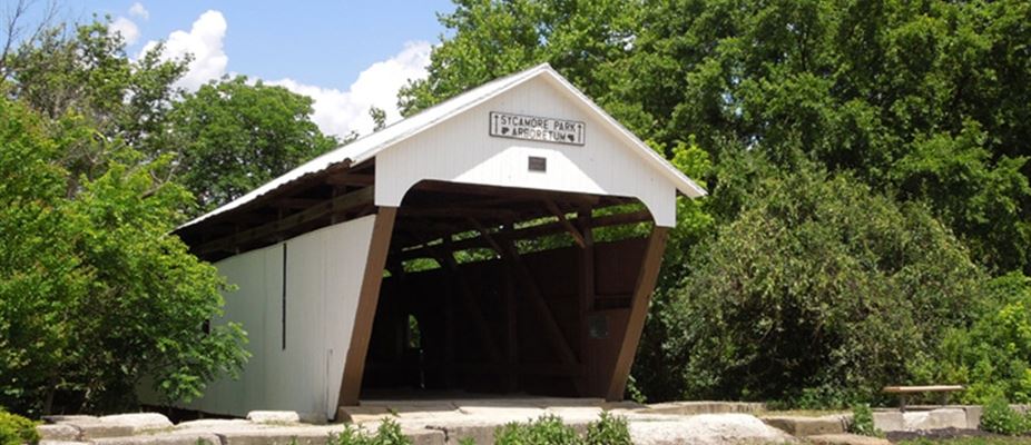 Sycamore Park Arboretum